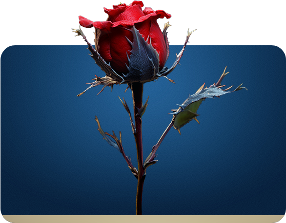 Flor