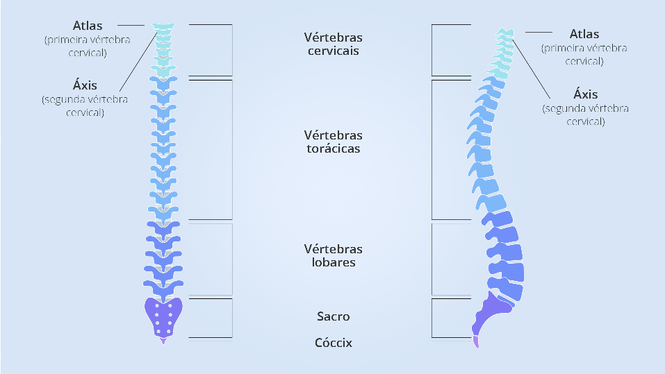 Cuidados com a coluna: dicas para cuidar melhor da minha coluna