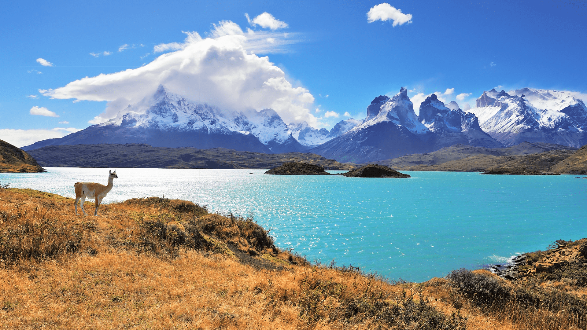Viagem para o Chile: tudo o que você precisa saber para se planejar 