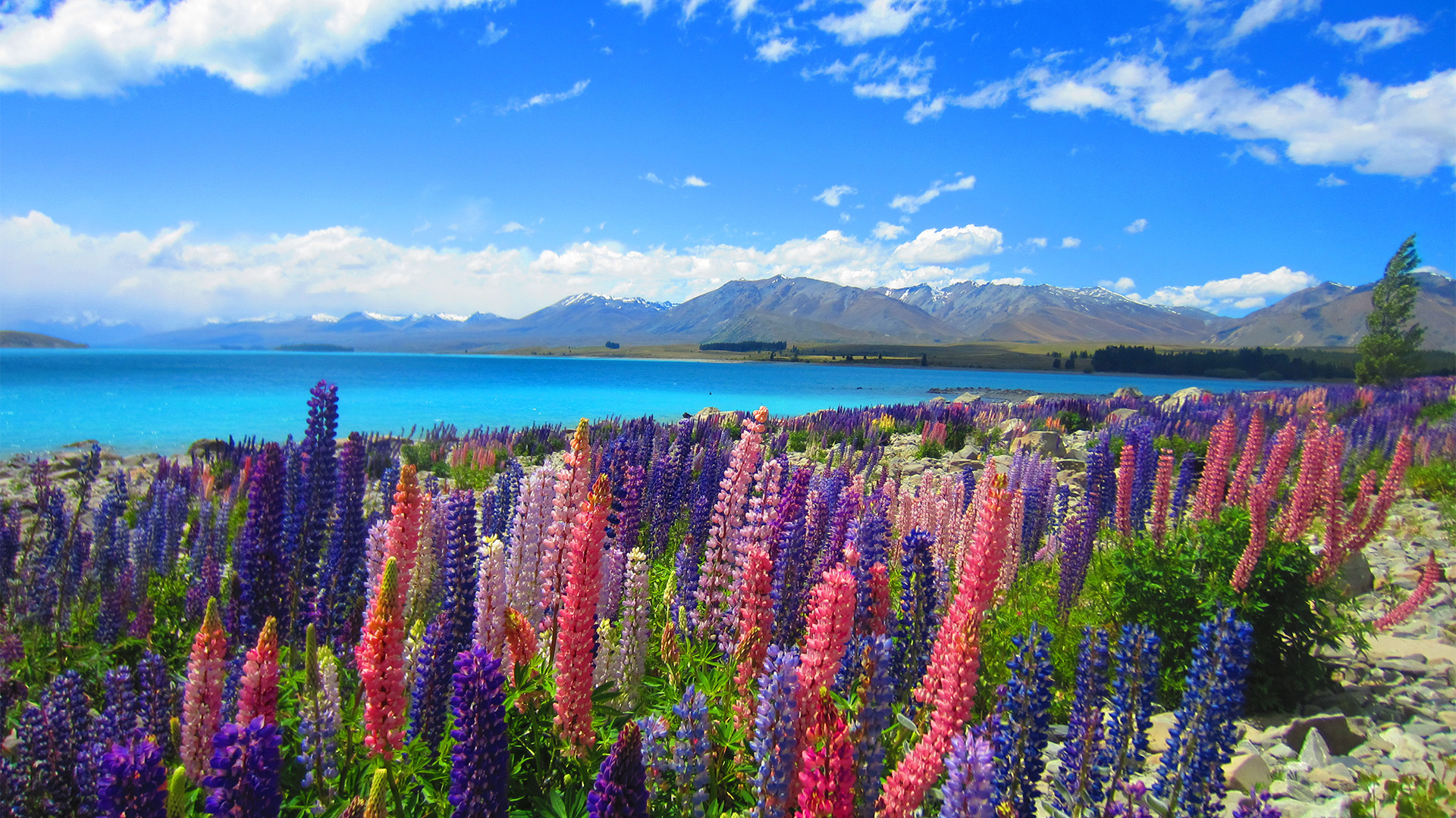 Lago Tekapo, Nova Zelândia 